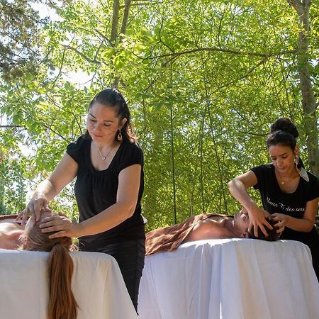 Hotel Mas Valentine Saint-Rémy-de-Provence Zewnętrze zdjęcie